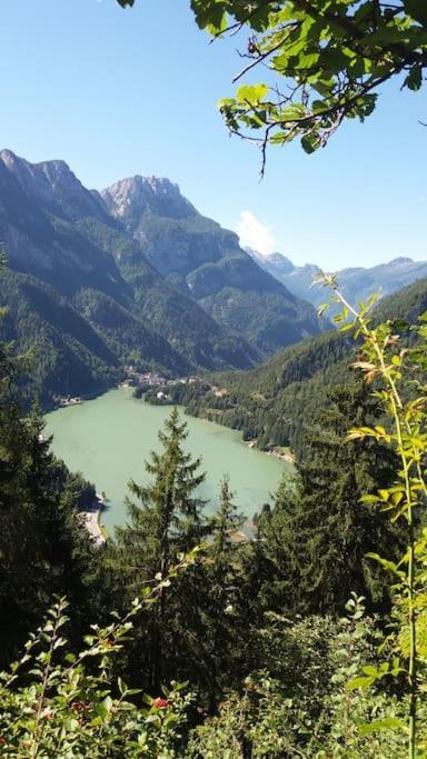 Mountain Lägenhet Alleghe Exteriör bild