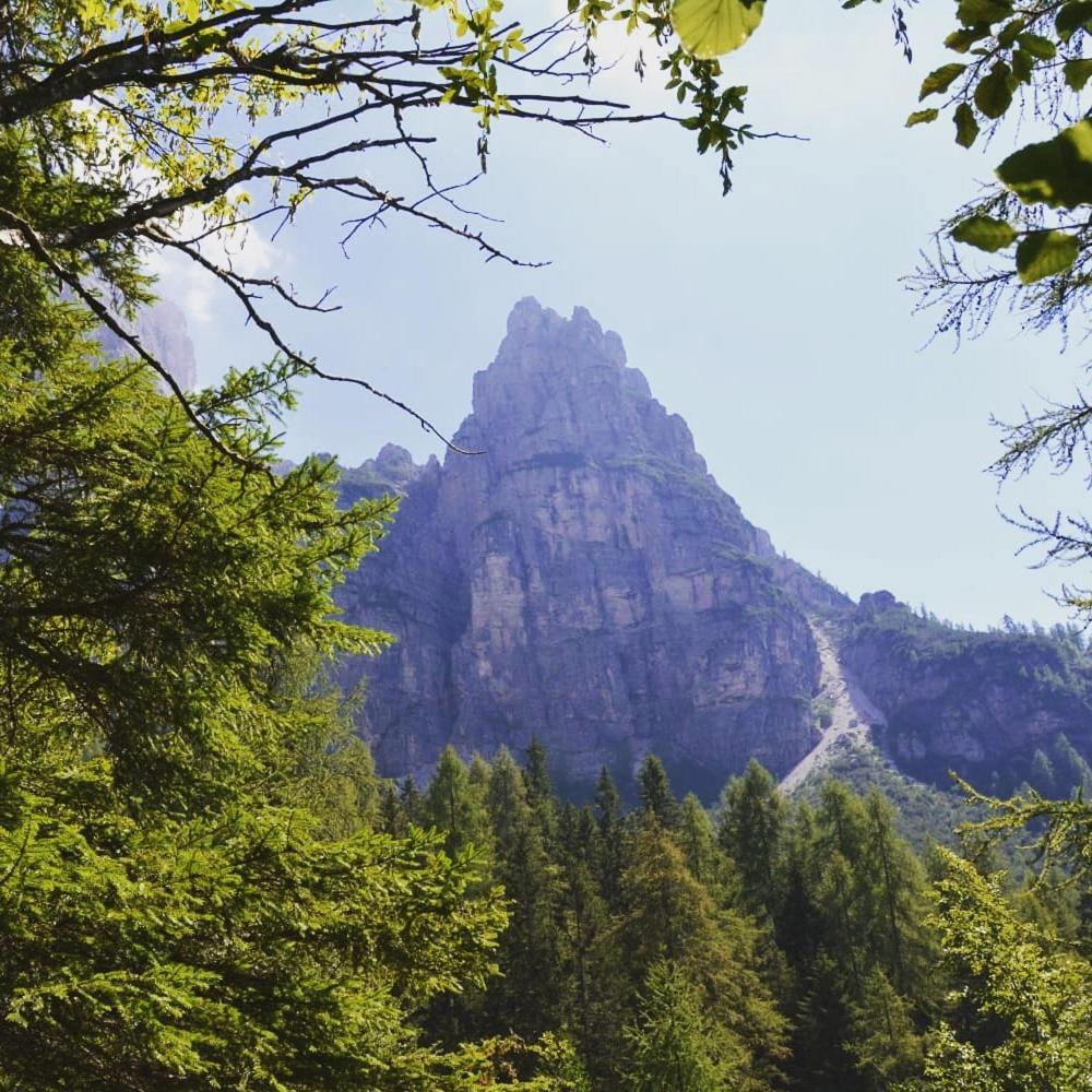 Mountain Lägenhet Alleghe Rum bild