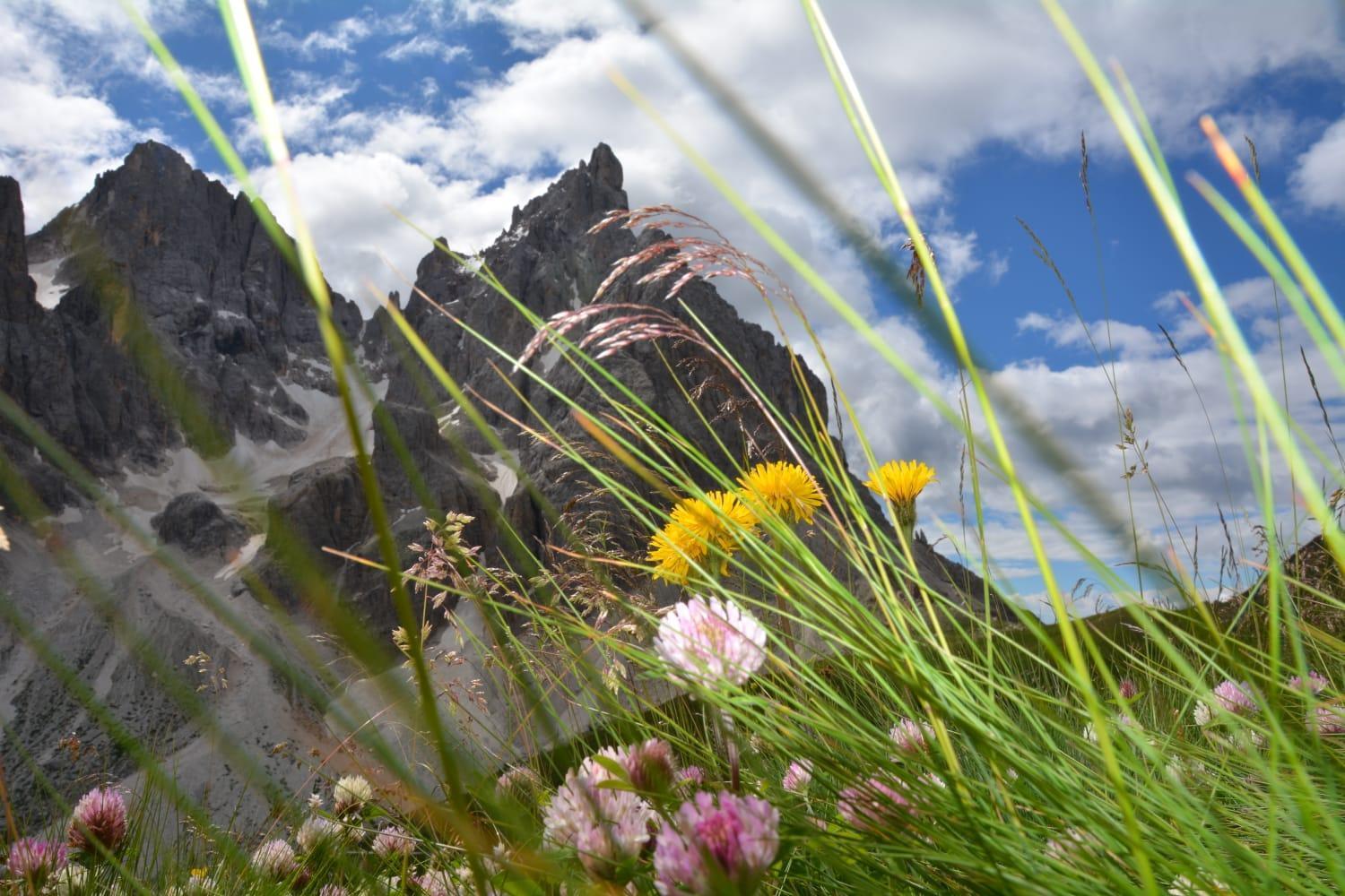 Mountain Lägenhet Alleghe Rum bild