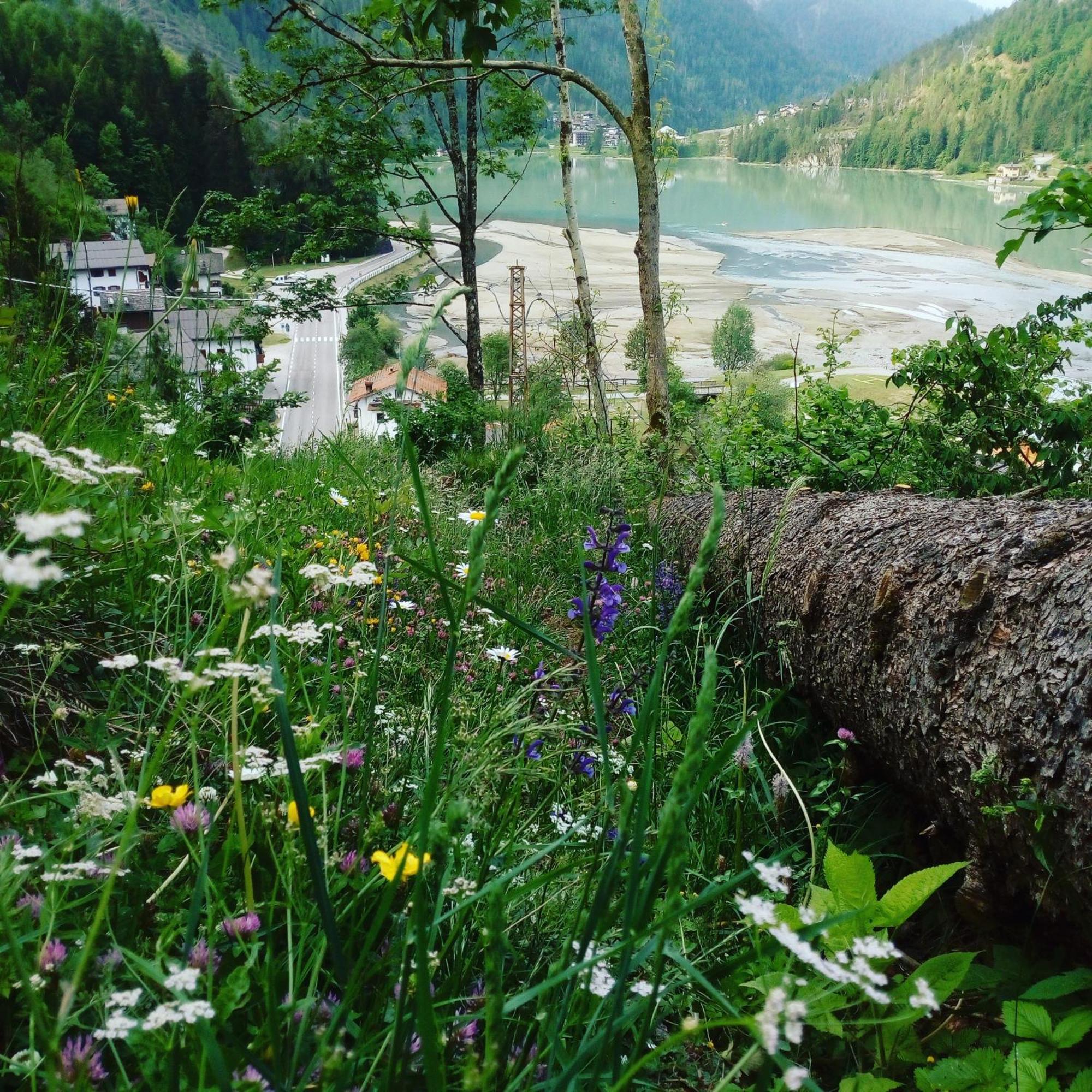 Mountain Lägenhet Alleghe Rum bild